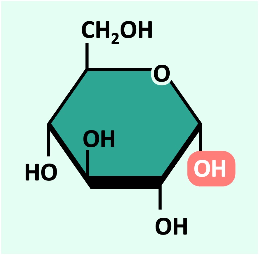 Monosaccharides